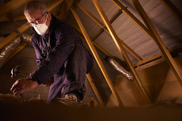 Best Insulation Maintenance and Repair in Riley, KS